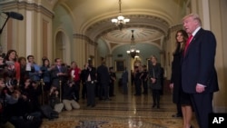 2016年11月10日,美国候任总统川普和夫人在国会会见参议院多数党领袖麦康奈尔后,对记者发表谈话