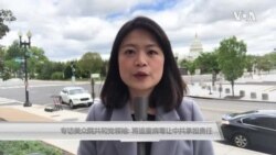 中国对疫情的延误处理和掩盖如何造成新冠病毒全球蔓延? 中国对疫情的延误处理和掩盖如何造成新冠病毒全球蔓延?