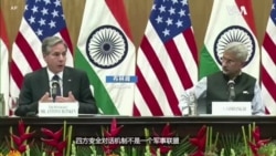 布林肯：四方安全对话机制不是军事联盟