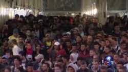 美国审核难民数和重新安置程序 美国审核难民数和重新安置程序