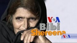 بي بي شیرینه – وي او اې ډيوه په ټیلې ویژن بي بي شیرینه – وي او اې ډيوه په ټیلې ویژن