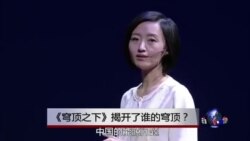 时事大家谈:《穹顶之下》揭开了谁的穹顶? 时事大家谈:《穹顶之下》揭开了谁的穹顶?