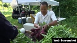 Subba và những người tị nạn khác từ khắp nơi trên thế giới đang tham gia chương trình New Roots của Ủy ban Cứu trợ Quốc tế IRC.