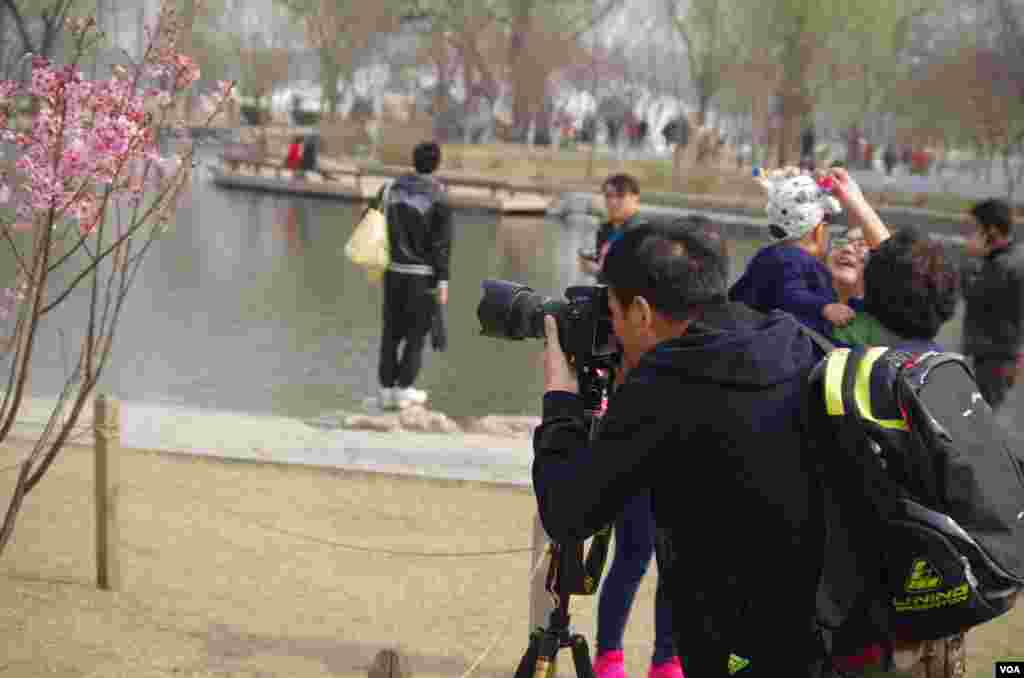 摄影爱好者齐聚玉渊潭，拍摄北京春光&nbsp;​(曾谙 摄于2016年3月21日)