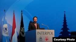 国际刑警组织主席、中国公安部副部长孟宏伟 (国际刑警组织官网图片)