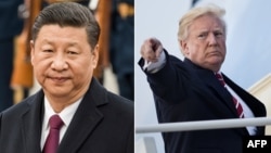 中国国家主席习近平(左),美国总统川普(右)