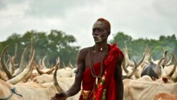 学个词--precarious 学个词--precarious