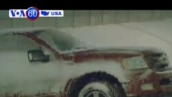 Tuyết rơi chỉ cách Lễ hội Hoa Anh Đào một tuần Tuyết rơi chỉ cách Lễ hội Hoa Anh Đào một tuần