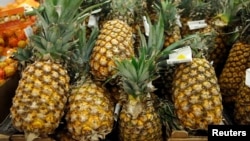 台湾人称为凤梨的菠萝