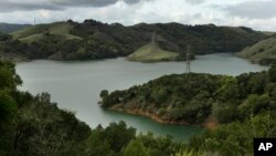 专家说,全球水系统中的各种药物影响环境和野生动物