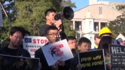 华盛顿香港人响应全球撑香港集会 华盛顿香港人响应全球撑香港集会