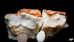 Sampel dari salah satu opal terbesar di dunia yang dimiliki rumah lelang Alaska Premier Auctions and Appraisals. Foto diambil pada 20 Desember 2021. (Foto: Alaska Premier Auctions and Appraisals via AP/Dana Fuentes)