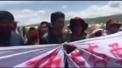 藏人组织:青海藏族牧民抗议遭警方暴力 藏人组织:青海藏族牧民抗议遭警方暴力