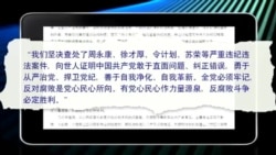 媒体观察：习近平点名 众污吏惊心
