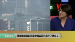 时事看台:被美国制裁的五家中国公司究竟干了什么? 时事看台:被美国制裁的五家中国公司究竟干了什么?