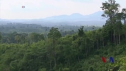 联合国项目帮助保护树木并创造就业 联合国项目帮助保护树木并创造就业