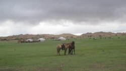 帮蒙古抵御中国影响 俄推动对华新油气管道 帮蒙古抵御中国影响 俄推动对华新油气管道