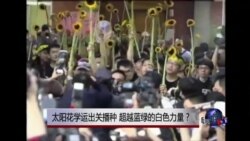 时事大家谈:太阳花学运出关播种,超越蓝绿的白色力量? 时事大家谈:太阳花学运出关播种,超越蓝绿的白色力量?