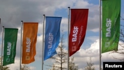 德国化学公司巴斯夫公司的旗帜