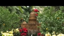 Khách thăm Vườn Bách thảo thủ đô say sưa trước cảnh lễ hội Khách thăm Vườn Bách thảo thủ đô say sưa trước cảnh lễ hội