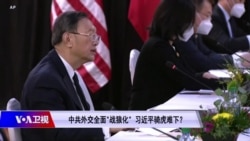 焦点对话:中共外交全面“战狼化” 习近平骑虎难下? 焦点对话:中共外交全面“战狼化” 习近平骑虎难下?