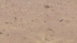 Tabrakan Pesawat Kembali Terjadi di AS, 2 Orang Tewas