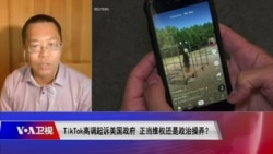 时事大家谈:TikTok高调起诉美国政府,正当维权还是政治操弄? 时事大家谈:TikTok高调起诉美国政府,正当维权还是政治操弄?