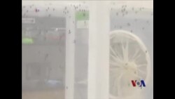 美科学家研发新一代驱蚊剂 美科学家研发新一代驱蚊剂