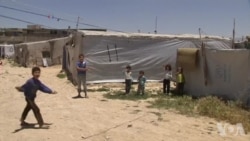 世界难民日 美参议员提决议案 世界难民日 美参议员提决议案