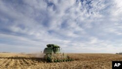 爱奥华州一家农场的玉米田(资料照)