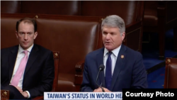 麦考尔议员发言支持恢复台湾世卫组织观察员资格(众议院视频截图 2019年1月22日)