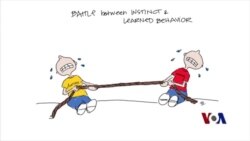 智能带动研发 福特汽车雇佣专家画出未来蓝图 智能带动研发 福特汽车雇佣专家画出未来蓝图