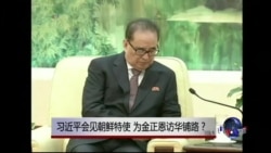 时事大家谈: 习近平会见朝鲜特使,为金正恩访华铺路? 时事大家谈: 习近平会见朝鲜特使,为金正恩访华铺路?