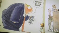 引发反响的社论漫画家安·泰尔内斯