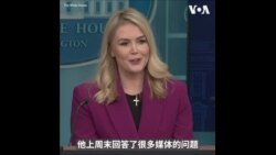 白宫:特朗普考虑对药品、芯片等课征关税符合《美国优先贸易议程》 白宫:特朗普考虑对药品、芯片等课征关税符合《美国优先贸易议程》