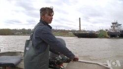 中国移民肯塔基办厂 解决亚洲鲤鱼难题 中国移民肯塔基办厂 解决亚洲鲤鱼难题