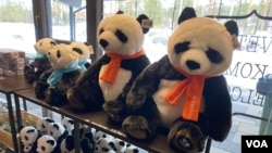动物园售票处,纪念品货架上堆满了熊猫娃娃 (美国之音/李北平摄)