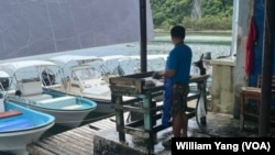 在帕劳恩格尔马尔克湾鱼市,一名工人正在清理帕劳渔民捕获的鱼。(2024年10月16日)