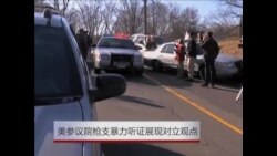 美参议院枪支暴力听证展现对立观点 美参议院枪支暴力听证展现对立观点