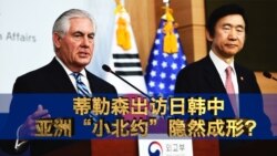 焦点对话:蒂勒森出访日韩中,亚洲“小北约”隐然成形? 焦点对话:蒂勒森出访日韩中,亚洲“小北约”隐然成形?