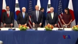 川普外交团队联大初露头角,川式外交性格鲜明 川普外交团队联大初露头角,川式外交性格鲜明