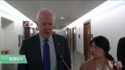 VOA连线(李逸华):美中就中兴达成协议 国会提修正案抵制 VOA连线(李逸华):美中就中兴达成协议 国会提修正案抵制