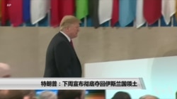 特朗普:下周宣布彻底夺回“伊斯兰国”占据的地盘 特朗普:下周宣布彻底夺回“伊斯兰国”占据的地盘