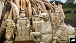 2016年4月28日在肯尼亚的内罗毕国家公园内,被没收的象牙被放置在大约12堆等待销毁的象牙堆前。一个主要的象牙保护组织本周三(3月29日)表示,中国的象牙价格下滑。