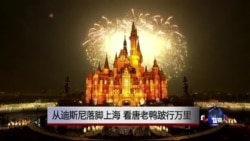 时事大家谈: 从迪斯尼落脚上海,看唐老鸭跛行万里 时事大家谈: 从迪斯尼落脚上海,看唐老鸭跛行万里