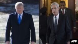 Tổng thống Mỹ Donald Trump và Công tố viên Đặc biệt Robert Mueller