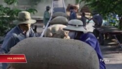 Triển vọng kinh tế Việt Nam gặp thách thức do nông nghiệp tụt hậu Triển vọng kinh tế Việt Nam gặp thách thức do nông nghiệp tụt hậu