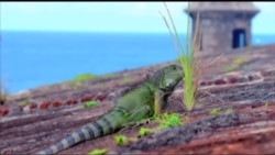 美国万花筒:国家公园之旅--海岛风情 美国万花筒:国家公园之旅--海岛风情