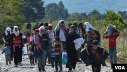 移民们在马其顿的难民营里(2015年9月11日)