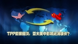 时事大家谈:TPP前景黯淡,亚太地区美中势力此消彼长 时事大家谈:TPP前景黯淡,亚太地区美中势力此消彼长